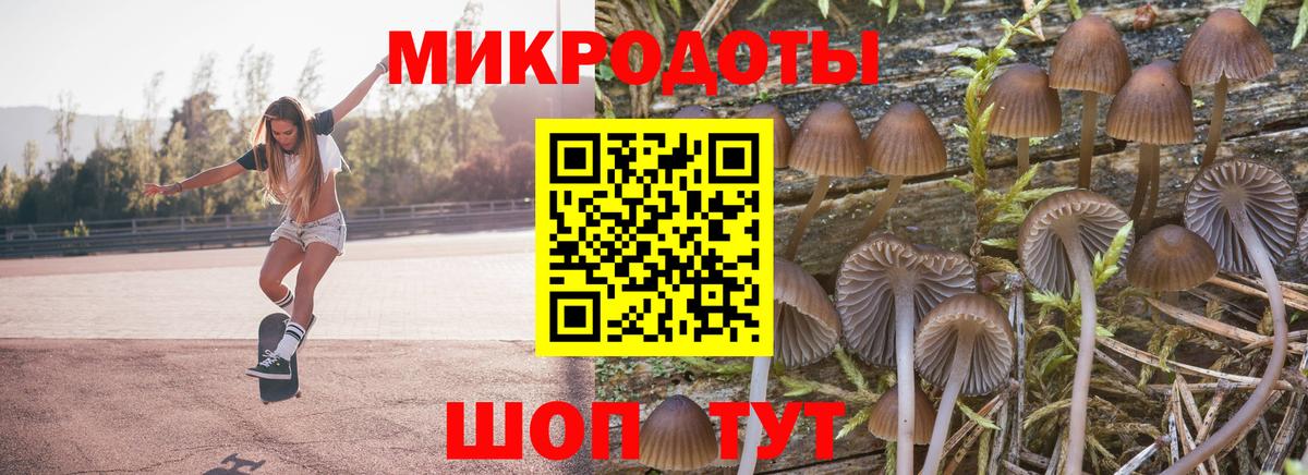 Псилоцибиновые грибы GOLDEN TEACHER Красногорск