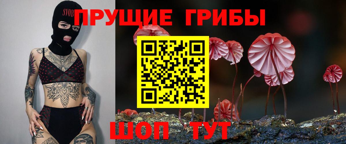 Галлюциногенные грибы Psilocybine cubensis  где найти наркотики  Красногорск  Вход с VPN  Псилоцибиновые грибы ЛСД 